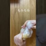 え？？？ #米粉レシピ #グルテンフリー #米粉パン #米粉スイーツ #グルテンフリースイーツ #米粉クッキー #お菓子作り #おやつ #おやつレシピ #パンナコッタ