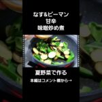 夏野菜レシピ☆ご飯がすすむ!!お弁当のおかずにも☆#なすレシピ #ピーマンレシピ #甘辛味噌炒め#お弁当のおかず