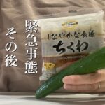 緊急事態のその後ときゅうりのさっぱり副菜