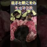 茄子と豚こまのオイマヨ丼#丼レシピ #丼ぶり #丼物 #丼もの #丼飯 #丼 #オイスターソース #茄子レシピ #茄子料理 #夏野菜レシピ #夏野菜 #豚肉レシピ #豚肉料理 #豚こま #簡単レシピ