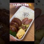 ハンバーグ弁当作ったよ! #ずぼら飯 #お弁当 #ひとりごはん #自炊 #vlog #簡単レシピ #毎日弁当