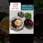 #節約#料理#ごはん#1人暮らし#自炊#食事#節約生活#レシピ#献立#簡単#1週間#1000円 #副菜 #作り置き #チャーハン #キムチ #shorts