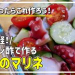 【お酢レシピ1】お手軽！カンタン酢で作るタコのマリネ/2，3人分/切って混ぜるだけ/副菜