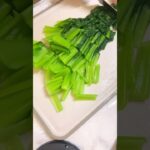 【食費月2万円台】鮭弁当🍱#簡単レシピ#節約レシピ#お弁当