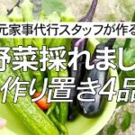 【夏野菜たっぷり♪】夏バテでも食べられる山形のだし、つるつる食感の茹で鶏、ご飯が進む夏野菜の味噌炒めなど、採れたて夏野菜で作り置き4品をご紹介します♪