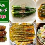 夏野菜が活躍！オクラのアレンジレシピ5種類😋簡単で美味しいおかず・お弁当・おつまみにぴったり！