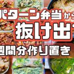 【バラエティ豊か】１時間ちょいで１週間分のお弁当おかず作り置き！【作り置き実況：99】