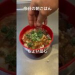 【今日の朝ごはん】レトルト牛丼にちょい足し #shorts #レシピ #おすすめ