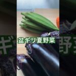 夏野菜盆ギリ歌#shorts#料理#漬け#簡単#レシピ#野菜