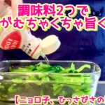 今日から王道レシピの仲間入り⁈【調味料2つで旨すぎ小松菜の副菜】
