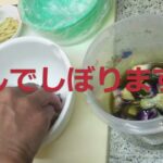 夏野菜きゅうり、ナスでしば漬け　レシピ
