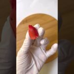 【夏弁当】うきわタコさん #お弁当 #お弁当レシピ #お弁当作り #お弁当おかず #キャラ弁 #デコ弁 #子育てママ #幼稚園弁当 #おうちごはん #赤ウインナーレシピ #夏弁当 #タコさんウインナー