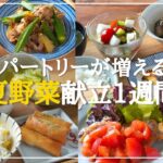 【１週間の夕飯献立】夏野菜レシピのレパートリーが増える！簡単晩ごはん献立５日間