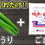 きゅうりの簡単漬物レシピ【きゅうりのごま油漬け】ご飯と相性抜群！箸が止まらない絶品おかずの作り方/きゅうりレシピ/浅漬けレシピ/漬物レシピ/作り置きおかず/お弁当おかず【あさごはんチャンネル】