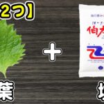 大葉の簡単レシピ!【大葉の塩漬け】大葉と塩だけで作る簡単漬物でご飯が止まらない!絶品ご飯が止まらないおかずの作り方/大葉レシピ/漬物レシピ/作り置きおかず/お弁当おかず【あさごはんチャンネル】
