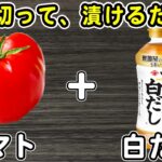 トマトの簡単レシピ【トマトの浅漬け】材料切って白だしに漬けるだけ!箸が止まらない絶品おかずの作り方/トマトレシピ/漬物レシピ/浅漬けレシピ/作り置きおかず/お弁当おかず【あさごはんチャンネル】