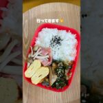 今日のお弁当でござる🍙 #vlog #お弁当 #ずぼら飯 #ひとりごはん #自炊 #毎日弁当 #簡単レシピ #ずぼら弁当