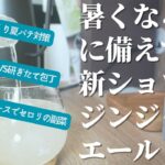 【vlog】ジンジャーエールを作ろう♪&副菜下ごしらえ