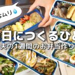【1週間のお弁当作り】お弁当日記vlog #28｜1週間のお弁当｜前日に作る弁当｜手抜き｜作り置き｜簡単レシピ｜冷凍食品｜主婦2年生