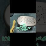 可愛いお弁当箱／トトロ／ポケモンピカチュウの2段弁当