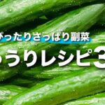 【きゅうり副菜】夏バテに負けないお箸が進むきゅうりレシピ 夏にピッタリなさっぱりとした味わいの副菜3選【今日のあと一品】
