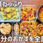【4,000円以内】1週間分のお弁当・晩御飯おかずをまとめて作り置き！【作り置き実況：105】
