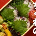 【簡単！お弁当づくり】野菜入りちくわの磯辺揚げ弁当 / Vegetable-Filled Isobe-age Chikuwa Bento