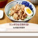 ワンボウルで作れる! ねぎ飯甘辛豚丼【きちんとキッチンbydaiei】