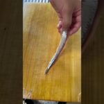 #cooking #手作り #簡単レシピ #レシピ #加藤家の食卓 #料理 #夫 #管理栄養士 #夫ご飯 #手作 #イワシ#海鮮#丼