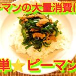 ★レシピ動画★ピーマンの大量消費に☆簡単♪ピーマン丼★【hirokoh(ひろこぉ)のおだいどこ】
