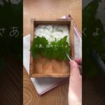 ズッキーニのはさみ焼きのお弁当 #お弁当 #お弁当作り #お弁当おかず #obento #お弁当記録 #お弁当動画 #お弁当詰め方 #レシピ動画 #夏野菜