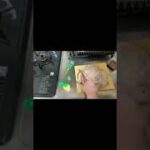 チューブ調味料バジルの使い切り／鶏もも肉ステーキ／レモン／にんにくレシピ