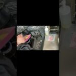 ベーコンエッグ仕上げの巻/簡単お弁当のおかず