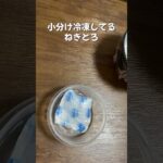 簡単お弁当作り/留守番ごはん/おきべん/ネギトロ丼/寿司/おうちごはん/夏休み/お昼ごはん