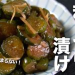 【きゅうりレシピ】ご飯のお供やお酒のアテにも！ポリポリ食感と生姜がピリッとやみつき止まらない◎レンジでできるキューちゃん風きゅうり漬け【今日のあと一品】【副菜レシピ】