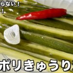 とっておきのきゅうりの副菜!さっぱり美味しい!カリポリきゅうり漬けの作り方