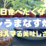 【タレうまナス炒め】#なすレシピ #簡単レシピ #夏野菜レシピ #それいゆの家 #山形 #隠れ家サロン #畑の野菜 #畑のある暮らし