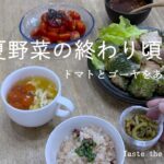 夏野菜の終わる時期/トマトとゴーヤのレシピ/念願のタコ飯/もう一つの夏休み/四季をあじわう