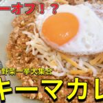 【レシピ】カロリーオフってこう言うこと!?夏野菜一挙大集合キーマカレー