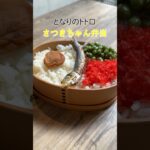 となりのトトロ「さつきちゃんのお弁当」をズボラ再現！