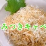 やみつき無限キャベツ/簡単サラダレシピ