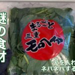 【モロヘイヤレシピ】美容に欠かせない謎のネバネバする食材モロヘイヤで超ネバネバ丼を作ってみた【丼レシピ】