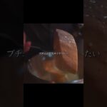 犬系男子のエサの作り方 #カツ丼 #低温調理 #肩ロース