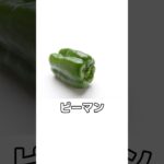 ピーマンとおすすめレシピ動画を紹介! #料理 #ピーマン #ご飯 #健康 #野菜