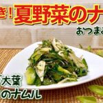 病みつき!ミョウガ大葉きゅうりのナムル(夏野菜のナムル)の作り方♪サッパリ爽やかで止まらない美味しさです。おつまみや箸休めに最高!
