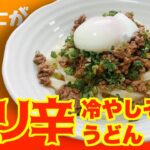 【料理】夏にガッツリ!簡単スタミナ麺