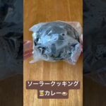 節約レシピ 夏野菜カレー