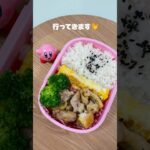 今日は時間なかった〜💦 #毎日弁当 #自炊 #お弁当 #ずぼら飯 #ずぼら弁当 #ひとりごはん #vlog #簡単レシピ #おかずレシピ #焼肉弁当