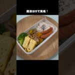 彼氏にお弁当作った!!! #自炊 #お弁当 #ずぼら飯 #ずぼら弁当 #ひとりごはん #vlog #簡単レシピ #おかずレシピ #毎日弁当 #焼肉弁当