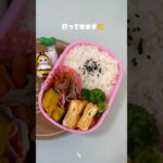 ずぼら女子大生のお弁当です！ #毎日弁当 #自炊 #お弁当 #ずぼら飯 #ひとりごはん #vlog #簡単レシピ #ずぼら弁当 #おかずレシピ